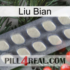 Liu Bian 08